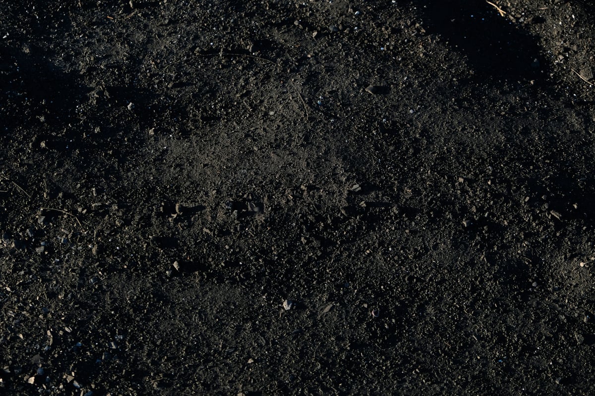 Black Soil Closeup